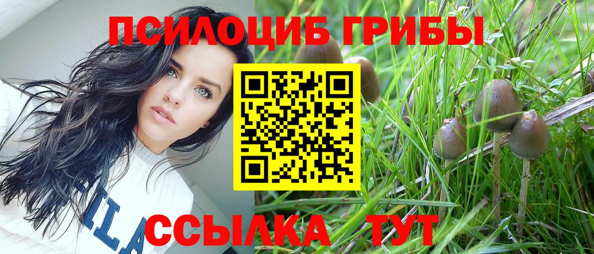 Псилоцибиновые грибы мухоморы Протвино